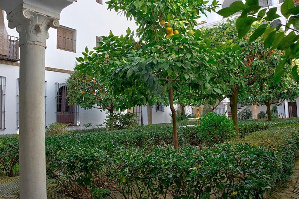 Alfaro Historic Aparment Appartement *