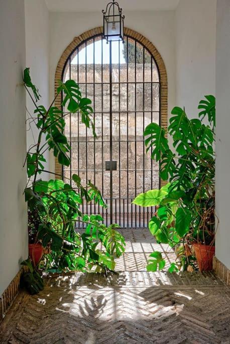 Appartement Alfaro Historic Aparment Sevilla