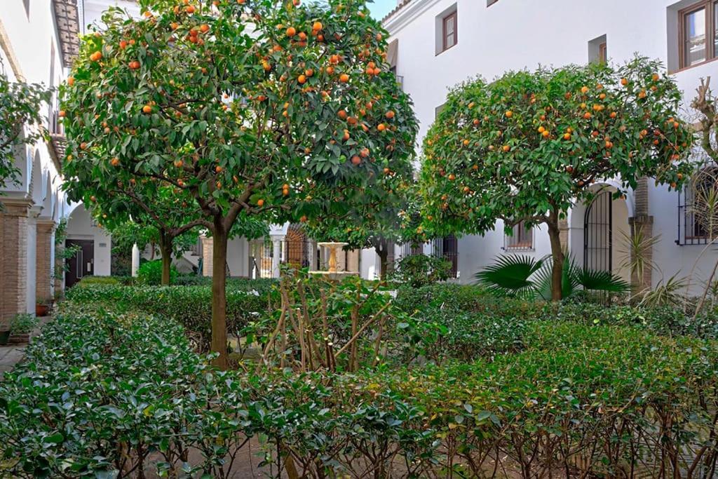 Appartement Alfaro Historic Aparment *