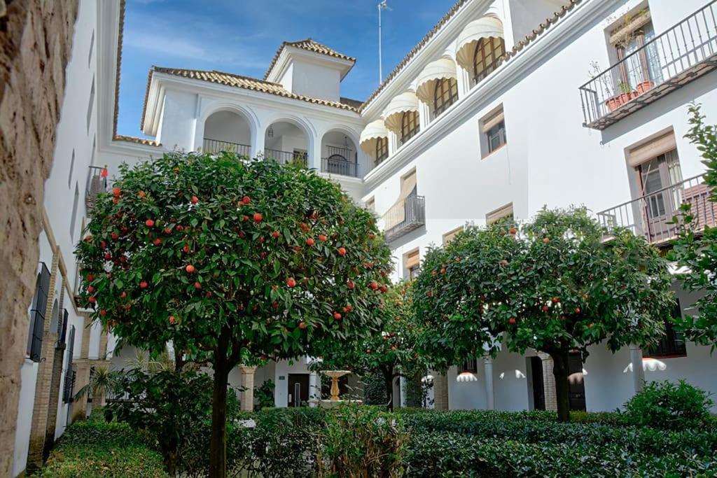 Alfaro Historic Aparment Appartement